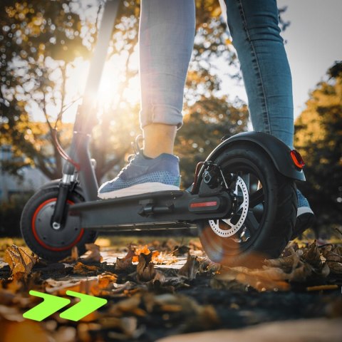 Hulajnoga Elektryczna 350W 10Ah 35Km, 10-Calowe Koła, Amortyzacja, Składana