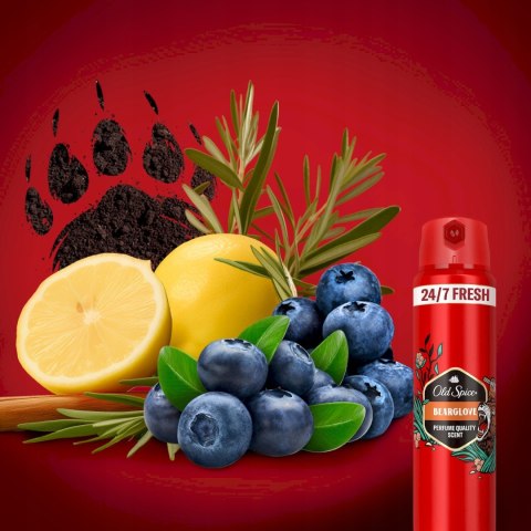Old Spice Bearglove: Zestaw Podarunkowy Dez/Sztyft, Spray, Żel + Domino