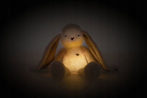 Szumiś Królik 5W1 - 3 Szumy, Melodie, Wibracje, Dwukolorowa Lampa Usb Etui