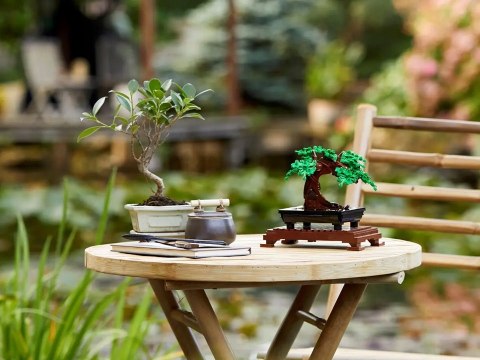 Lego Botanicals 10281 Drzewko Bonsai - Dekoracyjny Model Do Domu 878 Elem.
