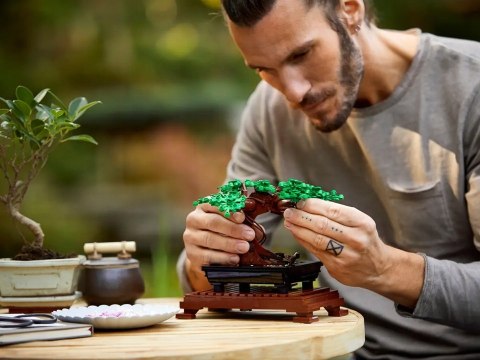 Lego Botanicals 10281 Drzewko Bonsai - Dekoracyjny Model Do Domu 878 Elem.
