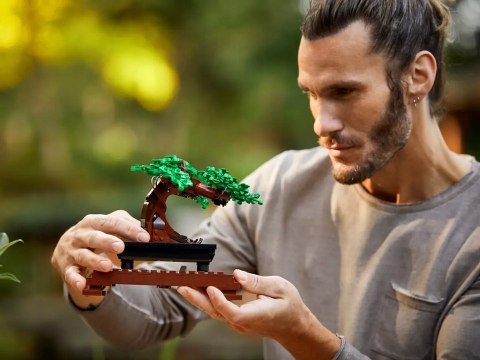 Lego Botanicals 10281 Drzewko Bonsai - Dekoracyjny Model Do Domu 878 Elem.