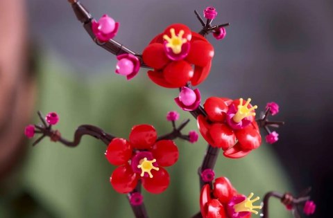 Lego Botanicals 10369 Kwiat Śliwy - Dekoracyjny Elegancki Zestaw 327 El.