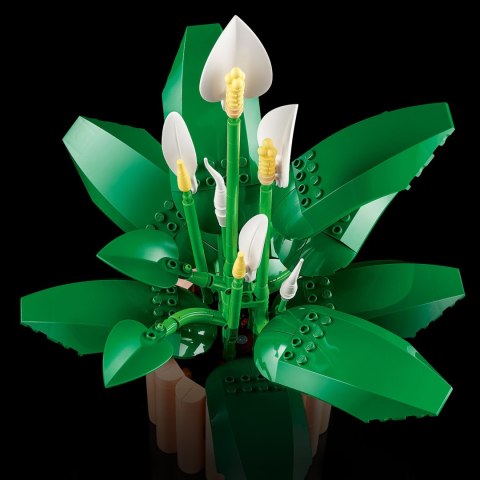 Lego Botanicals 11504 Dekoracyjny Zestaw Skrzydłokwiat - 474 Elementów