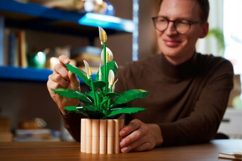 Lego Botanicals 11504 Dekoracyjny Zestaw Skrzydłokwiat - 474 Elementów