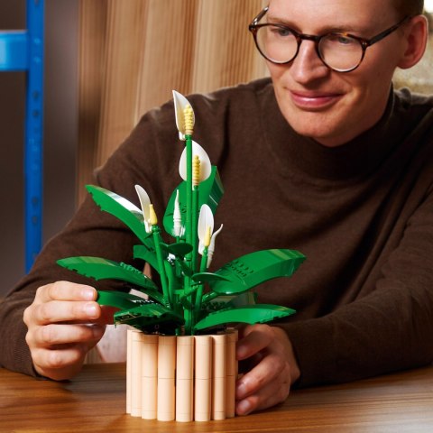 Lego Botanicals 11504 Dekoracyjny Zestaw Skrzydłokwiat - 474 Elementów