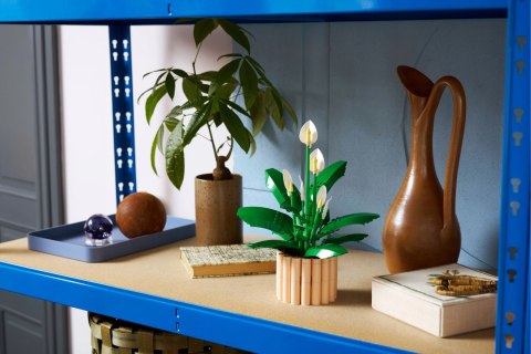 Lego Botanicals 11504 Dekoracyjny Zestaw Skrzydłokwiat - 474 Elementów