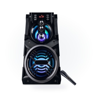 Mobilny System Nagłośnieniowy Boombox Bluetooth Fm Bt 850W Partytech Bt