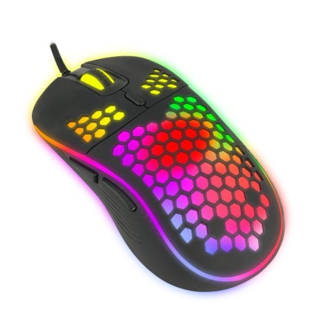 Mysz gamingowa Esperanza EGM305 Anteros USB-C 2400 DPI RGB