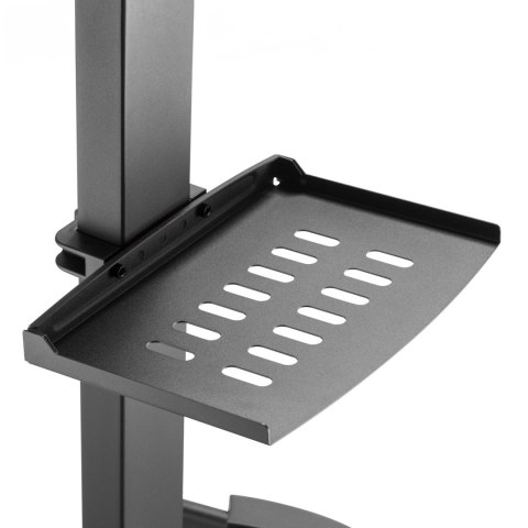 Cabletech UCH0218 — mobilny stojak TV 32-55 cali, 35 kg, półka do 5 kg
