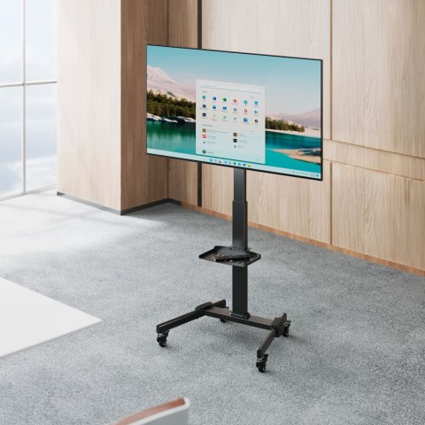 Cabletech UCH0218 — mobilny stojak TV 32-55 cali, 35 kg, półka do 5 kg