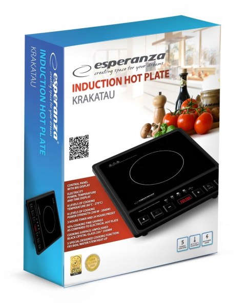 Przenośna Kuchenka Indukcyjna 2000W Timer 5 Funkcji Jednopalnikowa Czarna