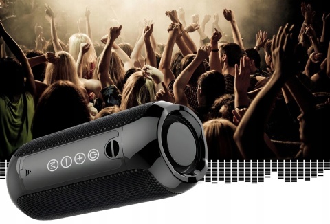 GŁOŚNIK BLUETOOTH PRZENOŚNY 4 WBUDOWANE GŁOŚNIKI, MOCNY BASS, RADIO FM USB