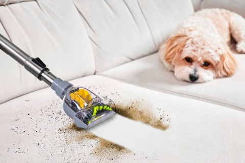 ODKURZACZ CYKLONOWY BEZWORKOWY TURBOSZCZOTKA 4000W REGULACJA MOCY ZWIJACZ