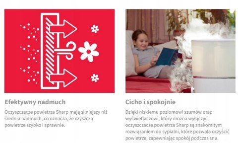 Oczyszczacz I Nawilżacz Powietrza Sharp Plasmacluster 6 Czujników 38M2