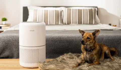Oczyszczacz Powietrza Levoit Core 300S, Hepa 13, Smart, Cichy, Vortexair