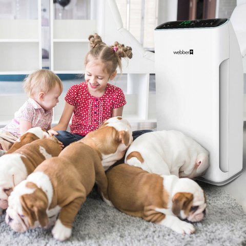 Oczyszczacz Powietrza Webber Ap8700 Hepa13 Uv, Jonizacja, Sensor Pm2,5