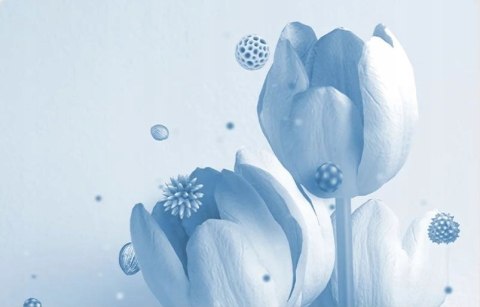 Oczyszczacz Powietrza Xiaomi Smart Air Purifier 4 Compact 3W1 Do Alergików