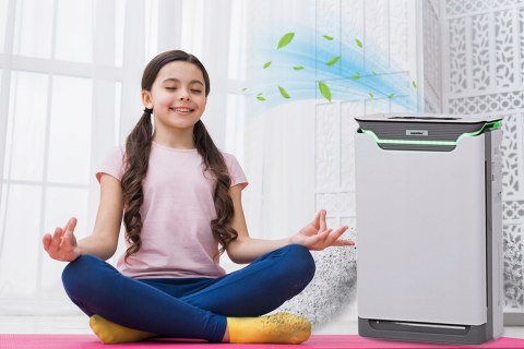 Oczyszczacz Powietrza 80M2 Hepa, Jonizator, Wifi, Ciche - Warmtec Ap350w+