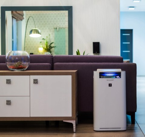 Oczyszczacz Powietrza Sharp Kc-G60eu-W Z Nawilżaczem, Do 50 M²