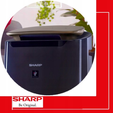 Sharp Oczyszczacz Powietrza 2W1 Hepa Xl Z Jonizacją I Auto Trybem 62M²
