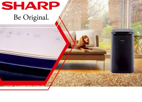 Sharp Oczyszczacz Powietrza 2W1 Hepa Xl Z Jonizacją I Auto Trybem 62M²