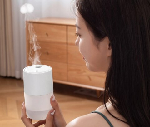 Nawilżacz Powietrza Gotel Rgb 2W1 Z Lampką I Olejkami Aromatycznymi 300Ml