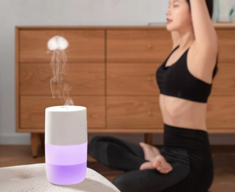Nawilżacz Powietrza Gotel Rgb 2W1 Z Lampką I Olejkami Aromatycznymi 300Ml