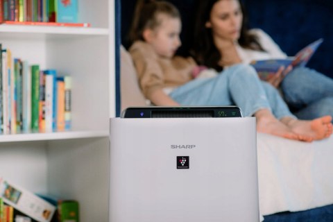 Oczyszczacz Powietrza Sharp Ua-Hd50e-L Z Nawilżaczem I Jonizacją