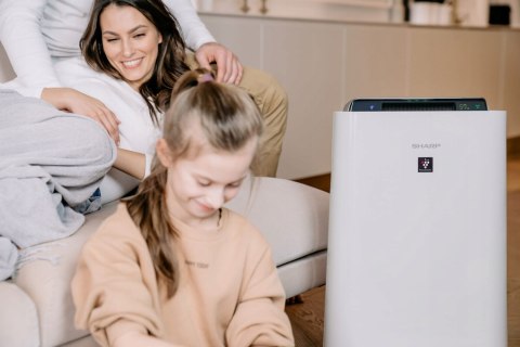 Oczyszczacz Powietrza Sharp Ua-Hd50e-L Z Nawilżaczem I Jonizacją