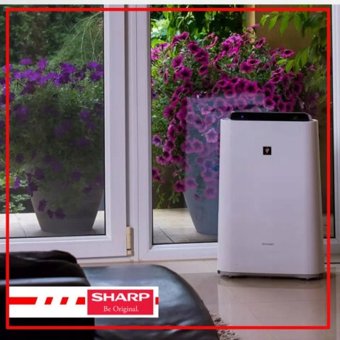 Sharp Kc-D40eu-W Oczyszczacz Ewaporacyjny 26M² Jonizacja Nawilżanie 216M³/H