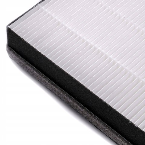 Zestaw Filtrów Hepa Fy2422 H13 I Węglowy Fy2420 Do Oczyszczacza Ac3829