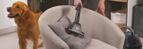 Odkurzacz Hoover Hp321paf 011 Bezworkowy 850W Turboszczotka Regulacja Mocy