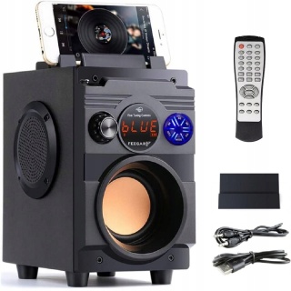 FEEGAR SHOWJET GŁOŚNIK PRZENOŚNY 30W BLUETOOTH KARAOKE 4000MAH 3-KANAŁOWY