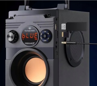 FEEGAR SHOWJET GŁOŚNIK PRZENOŚNY 30W BLUETOOTH KARAOKE 4000MAH 3-KANAŁOWY