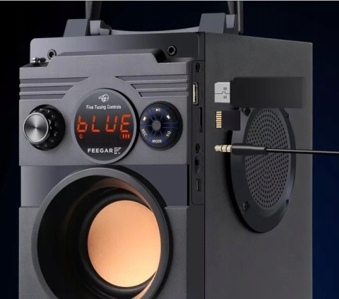 FEEGAR SHOWJET GŁOŚNIK PRZENOŚNY 30W BLUETOOTH KARAOKE 4000MAH 3-KANAŁOWY