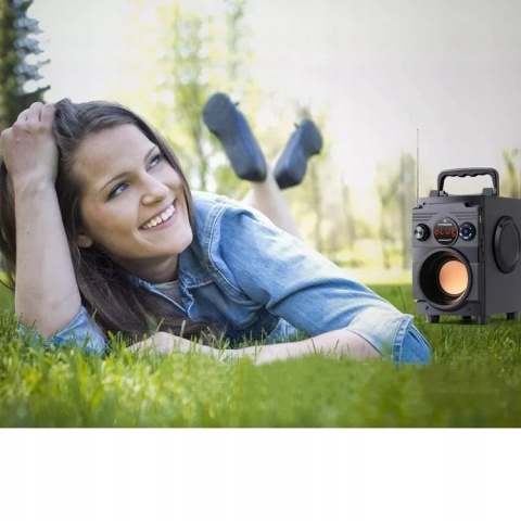 FEEGAR SHOWJET GŁOŚNIK PRZENOŚNY 30W BLUETOOTH KARAOKE 4000MAH 3-KANAŁOWY