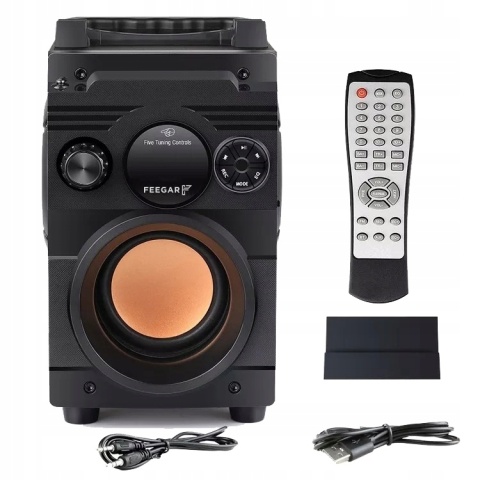 FEEGAR SHOWJET GŁOŚNIK PRZENOŚNY 30W BLUETOOTH KARAOKE 4000MAH 3-KANAŁOWY