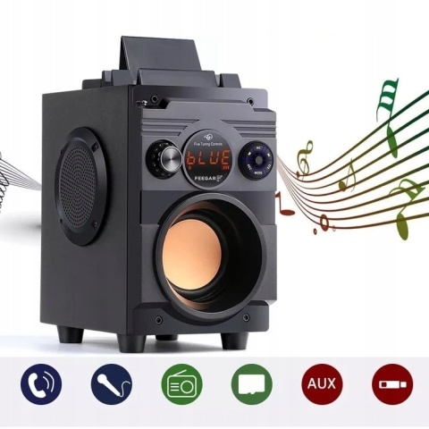 FEEGAR SHOWJET GŁOŚNIK PRZENOŚNY 30W BLUETOOTH KARAOKE 4000MAH 3-KANAŁOWY