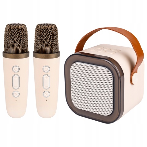 GŁOŚNIK PRZENOŚNY KARAOKE 2 MIKROFONY, BLUETOOTH 5.3, RGB, MP3, AUX, 500MAH