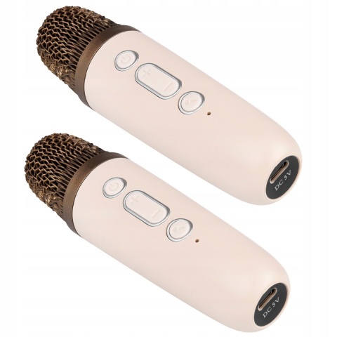 GŁOŚNIK PRZENOŚNY KARAOKE 2 MIKROFONY, BLUETOOTH 5.3, RGB, MP3, AUX, 500MAH