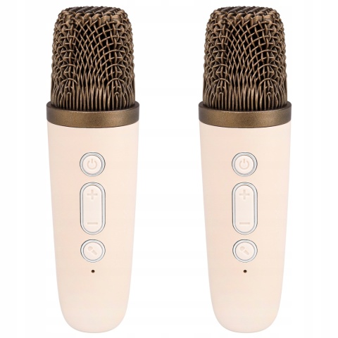 GŁOŚNIK PRZENOŚNY KARAOKE 2 MIKROFONY, BLUETOOTH 5.3, RGB, MP3, AUX, 500MAH