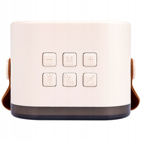 GŁOŚNIK PRZENOŚNY KARAOKE 2 MIKROFONY, BLUETOOTH 5.3, RGB, MP3, AUX, 500MAH