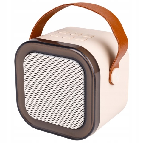 GŁOŚNIK PRZENOŚNY KARAOKE 2 MIKROFONY, BLUETOOTH 5.3, RGB, MP3, AUX, 500MAH