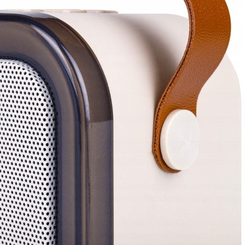 GŁOŚNIK PRZENOŚNY KARAOKE 2 MIKROFONY, BLUETOOTH 5.3, RGB, MP3, AUX, 500MAH