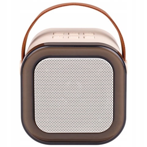 GŁOŚNIK PRZENOŚNY KARAOKE 2 MIKROFONY, BLUETOOTH 5.3, RGB, MP3, AUX, 500MAH