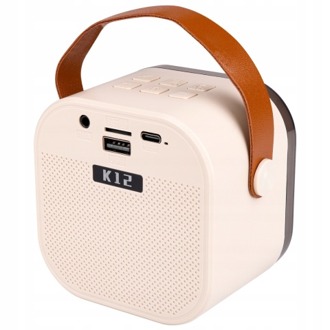 GŁOŚNIK PRZENOŚNY KARAOKE 2 MIKROFONY, BLUETOOTH 5.3, RGB, MP3, AUX, 500MAH