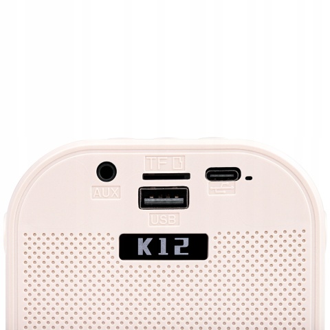 GŁOŚNIK PRZENOŚNY KARAOKE 2 MIKROFONY, BLUETOOTH 5.3, RGB, MP3, AUX, 500MAH