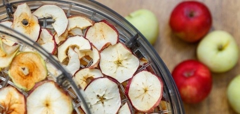 SUSZARKA ESPERANZA 250W 5 SITA - SZYBKIE SUSZENIE OWOCÓW, WARZYW I MIĘSA