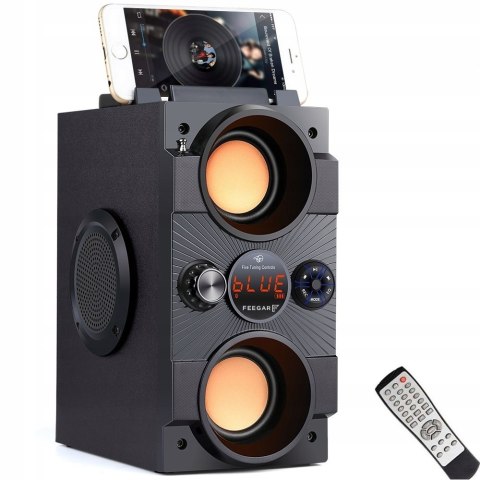 Fegar Dance Głośnik 30W Bluetooth Karaoke Radio Pilot Usb Sd Aux 4000Mah